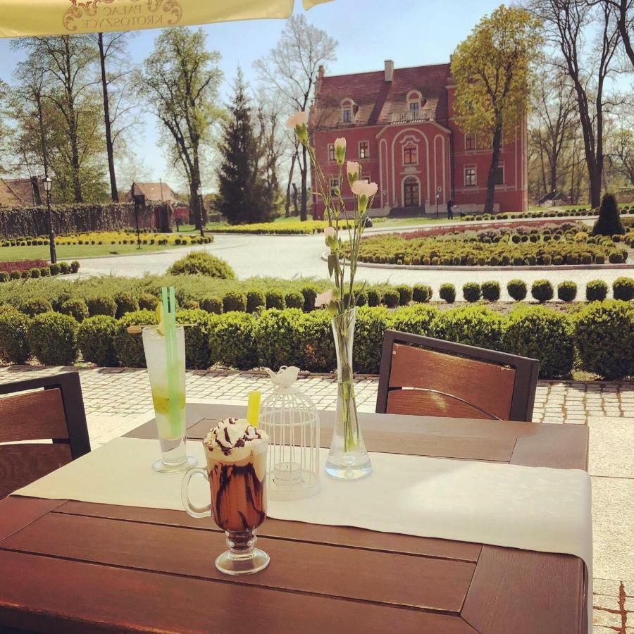 Hotel Palac Krotoszyce Basen&Spa Экстерьер фото
